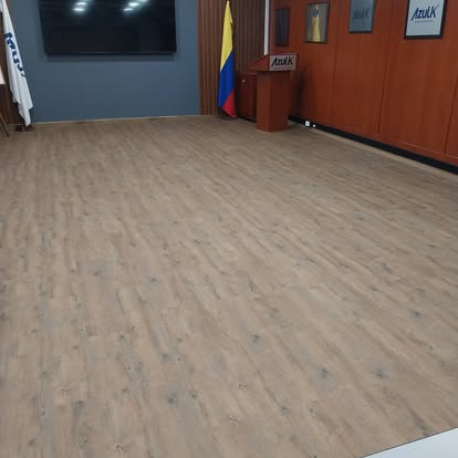 Proyecto BEH reciente